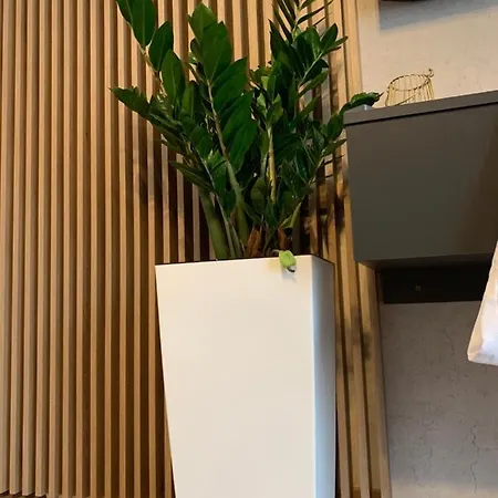 Anda 公寓 马马亚