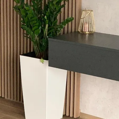 Apartment Anda *